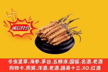 松原市扶余求购回收虫草多少钱每克